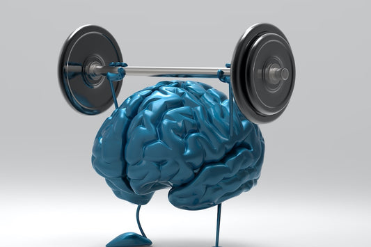One-on-one coaching: Healthy brain fitness